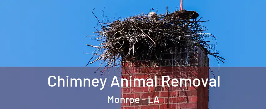  Chimney Animal Removal Monroe - LA