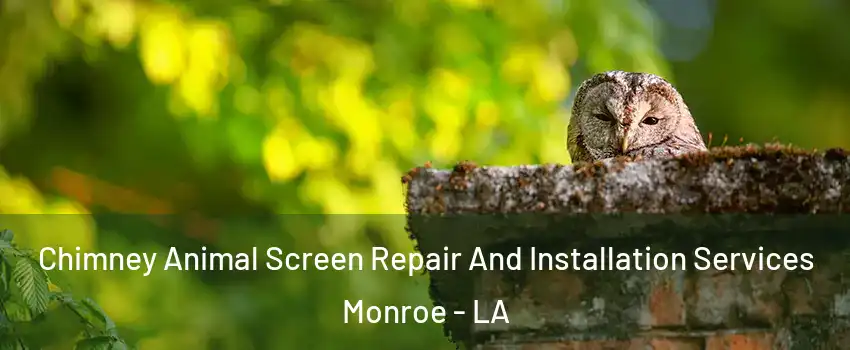  Chimney Animal Screen Repair And Installation Services Monroe - LA