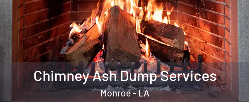  Chimney Ash Dump Services Monroe - LA