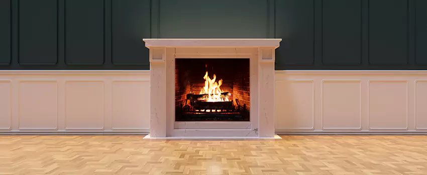 Napoleon Electric Fireplaces Inspection Service in Monroe, Louisiana