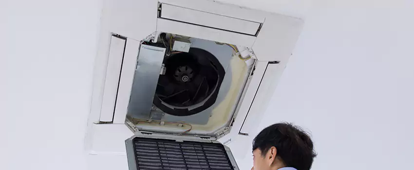 Benefits of Professional Air Duct Cleaning in Monroe, Louisiana